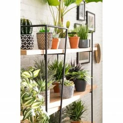 Studio Copenhagen Regal Anadyr - Schwarz / Esche -WOHNZIMMERMÖBEL Verkäufe 1000007393 181114 11415201 GALLERYIMAGES P000000001000007393