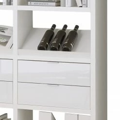 Fredriks Regal Concept IX - Hochglanz Weiß -WOHNZIMMERMÖBEL Verkäufe 1000036365 210722 11222900018 DETAILS P000000001000036365