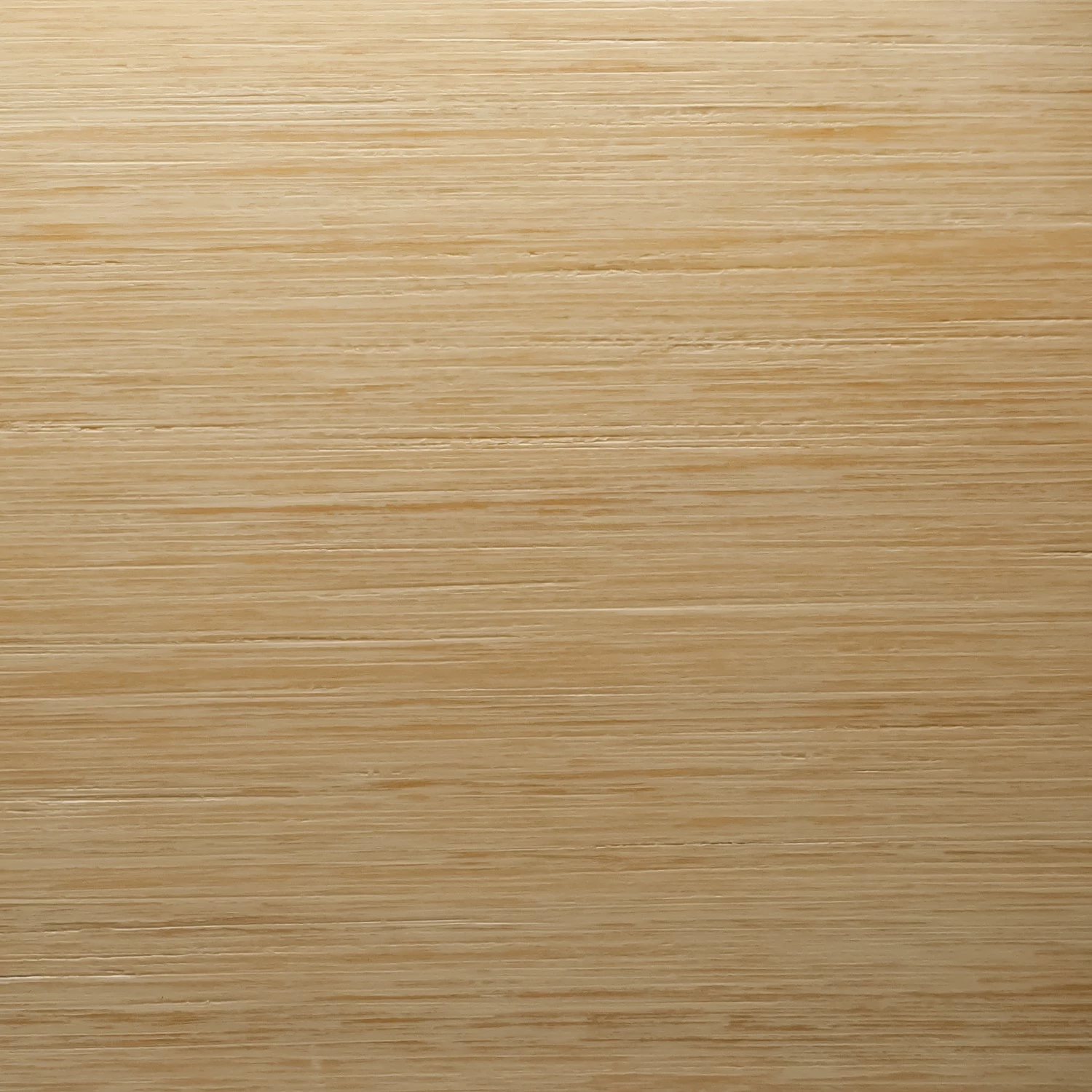 Ridgevalley Standvitrine Breddin - Mit Beleuchtung 7 Ridgevalley Standvitrine Breddin - Mit Beleuchtung – Bild 7