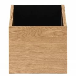 Temahome Regal One - Eiche / Schwarz -WOHNZIMMERMÖBEL Verkäufe 1000172899 201016 13321400416 DETAILS P000000001000172899