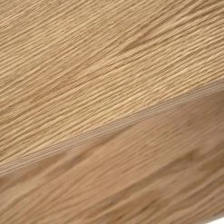 Temahome Regal One - Eiche / Schwarz -WOHNZIMMERMÖBEL Verkäufe 1000172899 201016 13323800426 DETAILS P000000001000172899