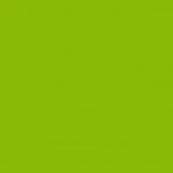 Tenzo Schrank Malibu I - Grasgrün -WOHNZIMMERMÖBEL Verkäufe 1000180870 200527 07444401004 DETAILS P000000001000180870