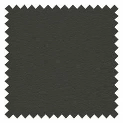 Loftscape Sofa Deven IV (2-Sitzer) - Pigmentiertes Leder - Anthrazit -WOHNZIMMERMÖBEL Verkäufe 1000183368 190927 15243902327 DETAILS P000000001000183368