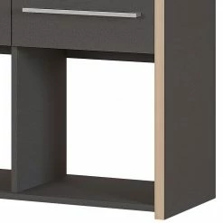 Germania Aktenregal Eugene - Anthrazit / Nussbaum Dekor -WOHNZIMMERMÖBEL Verkäufe 1000189458 191113 10262600012 DETAILS P000000001000189458