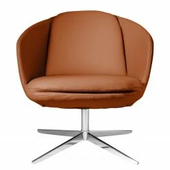 Fredriks Sessel Monsac III - Echtleder - Goldbraun -WOHNZIMMERMÖBEL Verkäufe 1000194394 191209 15560200648 DETAILS P000000001000194394