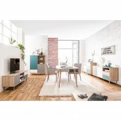 Norrwood TV-Lowboard Bibury - Mehrfarbig / Eiche Sonoma Dekor -WOHNZIMMERMÖBEL Verkäufe 1000202463 200124 09543300190 MOOD DETAILS P000000001000202463 mood