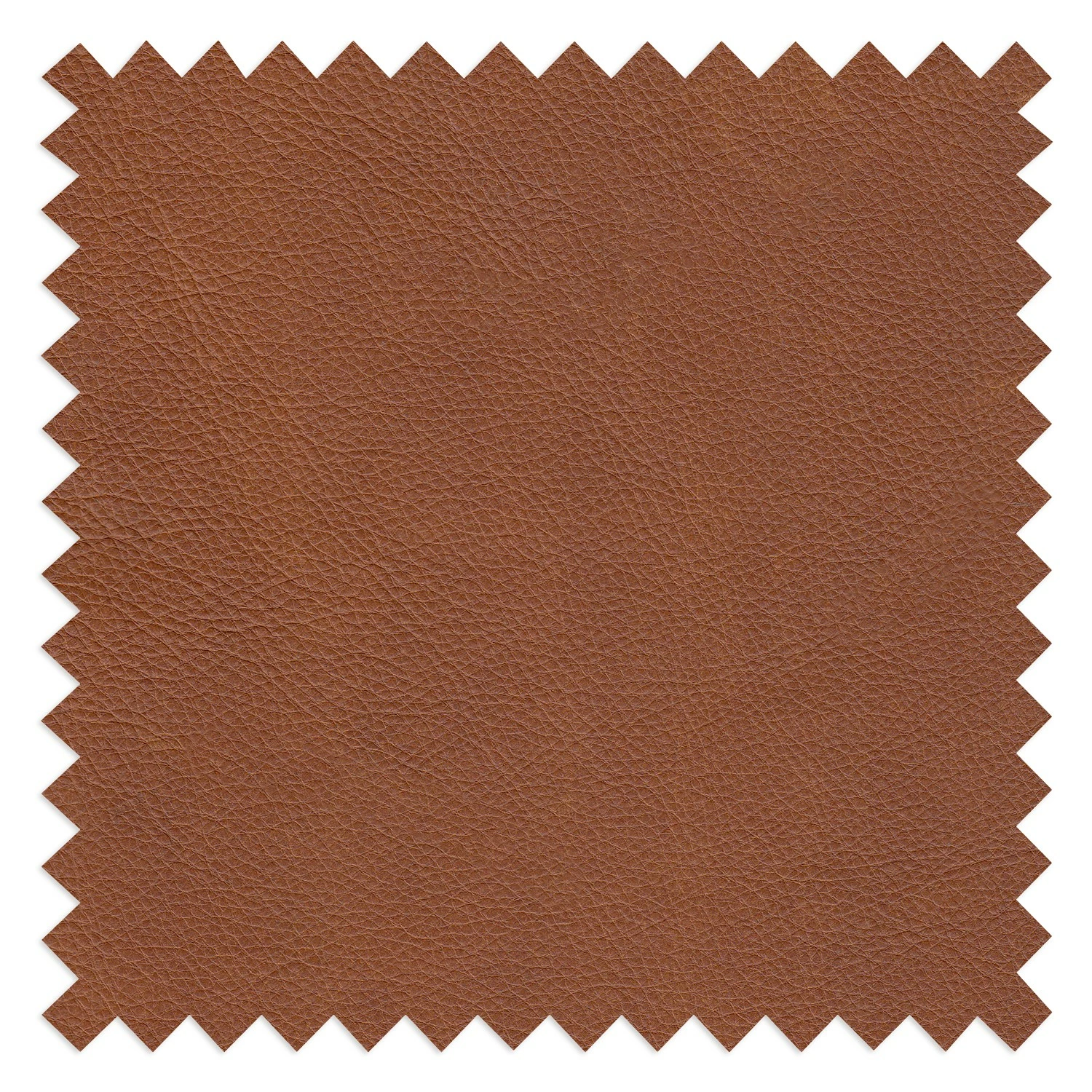 Studio Copenhagen Sofa Volx (2-Sitzer) - Anilinleder- Cognac 8 Studio Copenhagen Sofa Volx (2-Sitzer) - Anilinleder- Cognac – Bild 8