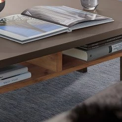 Loftscape Couchtisch Aulby - Taupe / Eiche Dekor -WOHNZIMMERMÖBEL Verkäufe 1000209797 200430 06442400021 DETAILS P000000001000209797