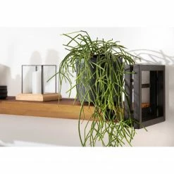 Ars manufacti Wohnkombination Manchester III (3-tlg) - Akazie massiv / Metall - Akazie / Anthrazit 44 Ars manufacti Wohnkombination Manchester III (3-tlg) - Akazie massiv / Metall - Akazie / Anthrazit -WOHNZIMMERMÖBEL Verkäufe 1000213222 220630 026 MOOD DETAILS P000000001000213222 mood