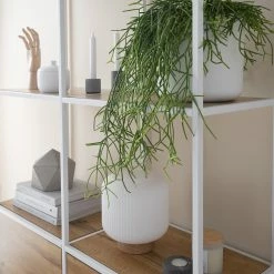 Fredriks Regal Meon III - Eiche Dekor - Breite: 101 cm 49 Fredriks Regal Meon III - Eiche Dekor - Breite: 101 cm -WOHNZIMMERMÖBEL Verkäufe 1000213233 201124 10313600029 DETAILS P000000001000213233