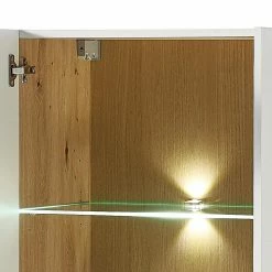 Red Living Hängevitrine Parolin - Inkl. Beleuchtung - Weiß -WOHNZIMMERMÖBEL Verkäufe 1000223971 200828 15525400007 DETAILS P000000001000223971