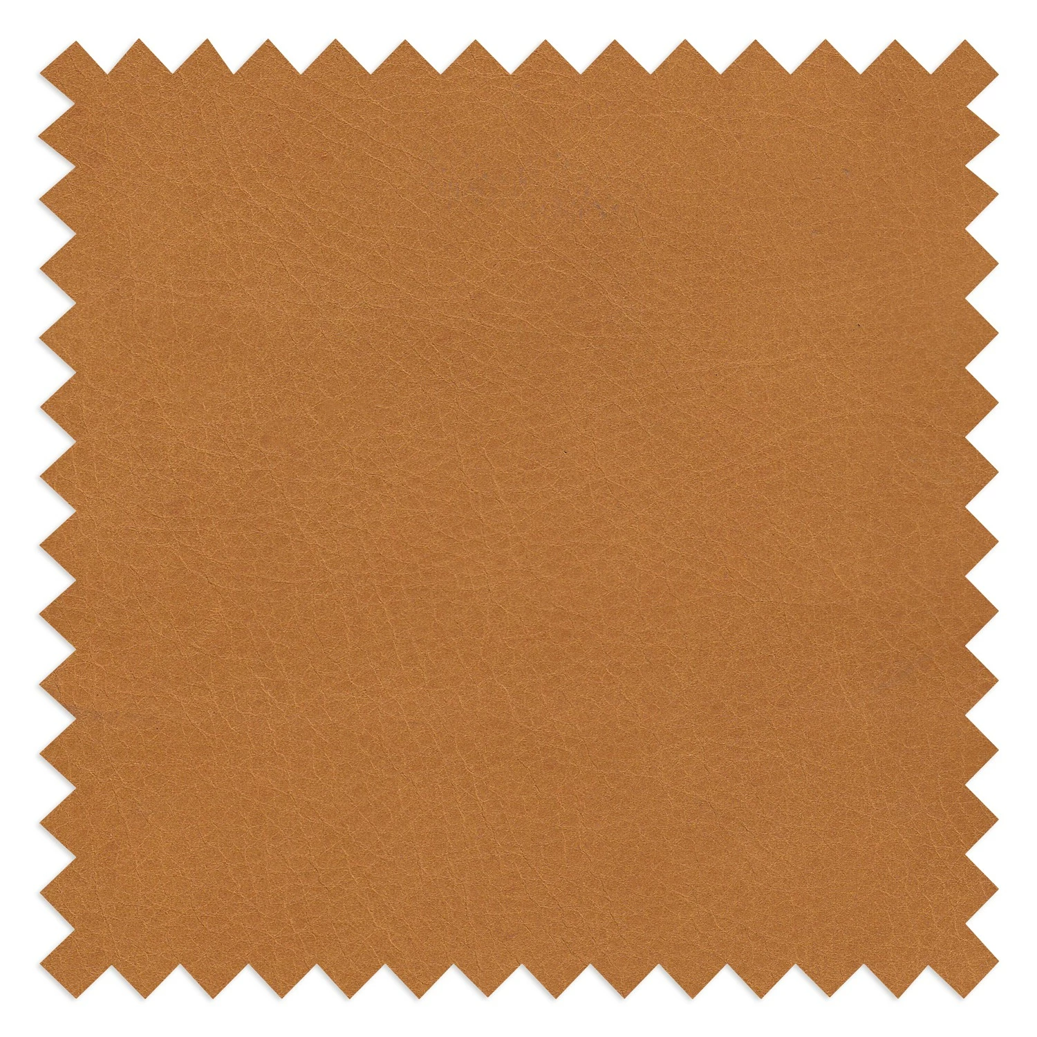 Studio Copenhagen 2,5-Sitzer Sofa COSO Classic+ - Echtleder Taru: Hellbraun - Eiche Dunkel 20 Studio Copenhagen 2,5-Sitzer Sofa COSO Classic+ - Echtleder Taru: Hellbraun - Eiche Dunkel – Bild 20