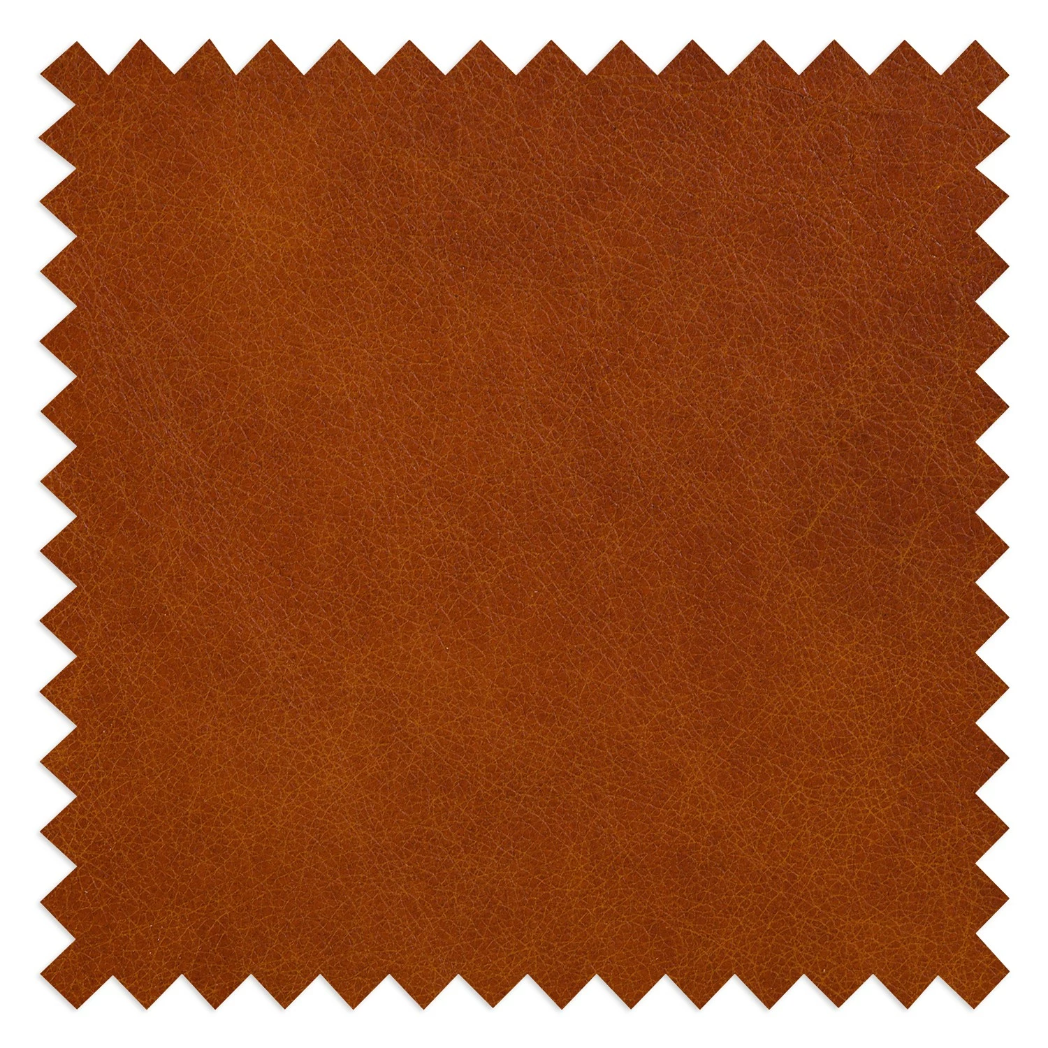 Ars manufacti Ecksofa Neuss - Echtleder - Echtleder Cerys: Cognac - Longchair davorstehend rechts 12 Ars manufacti Ecksofa Neuss - Echtleder - Echtleder Cerys: Cognac - Longchair davorstehend rechts – Bild 12