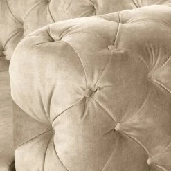 Red Living Sofa Merlin (2-Sitzer) - Samt Tomi: Creme -WOHNZIMMERMÖBEL Verkäufe 1000298925 211214 18023201409 DETAILS P000000001000298925