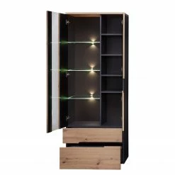 Loftscape Vitrinenschrank Moosic - Inkl. Beleuchtung - Eiche Artisan Dekor / Graphit -WOHNZIMMERMÖBEL Verkäufe 1000357964 220608 030 DETAILS P000000001000357964