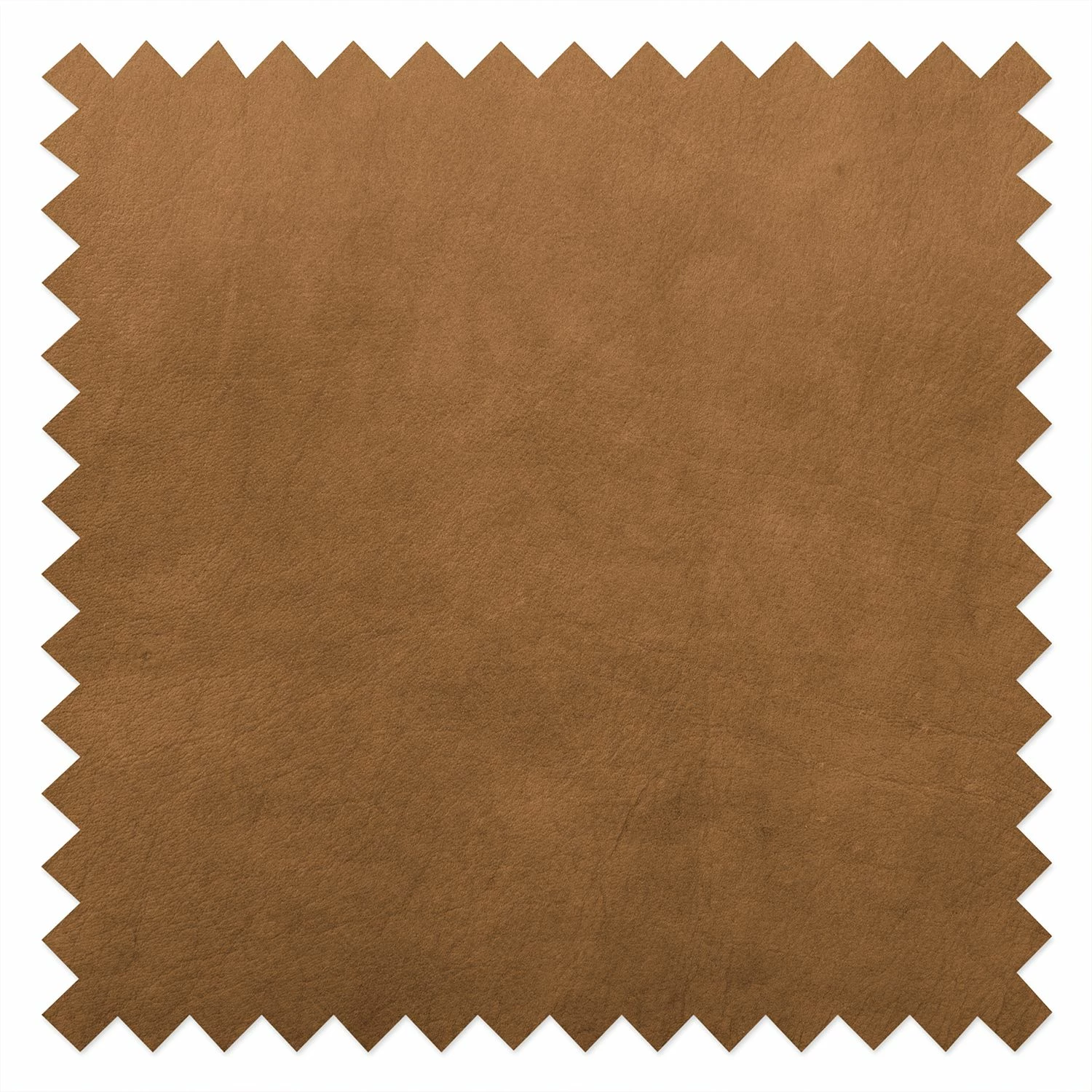 Ars manufacti Sofa Manchester (2-Sitzer) Echtleder - Cognac 10 Ars manufacti Sofa Manchester (2-Sitzer) Echtleder - Cognac – Bild 10